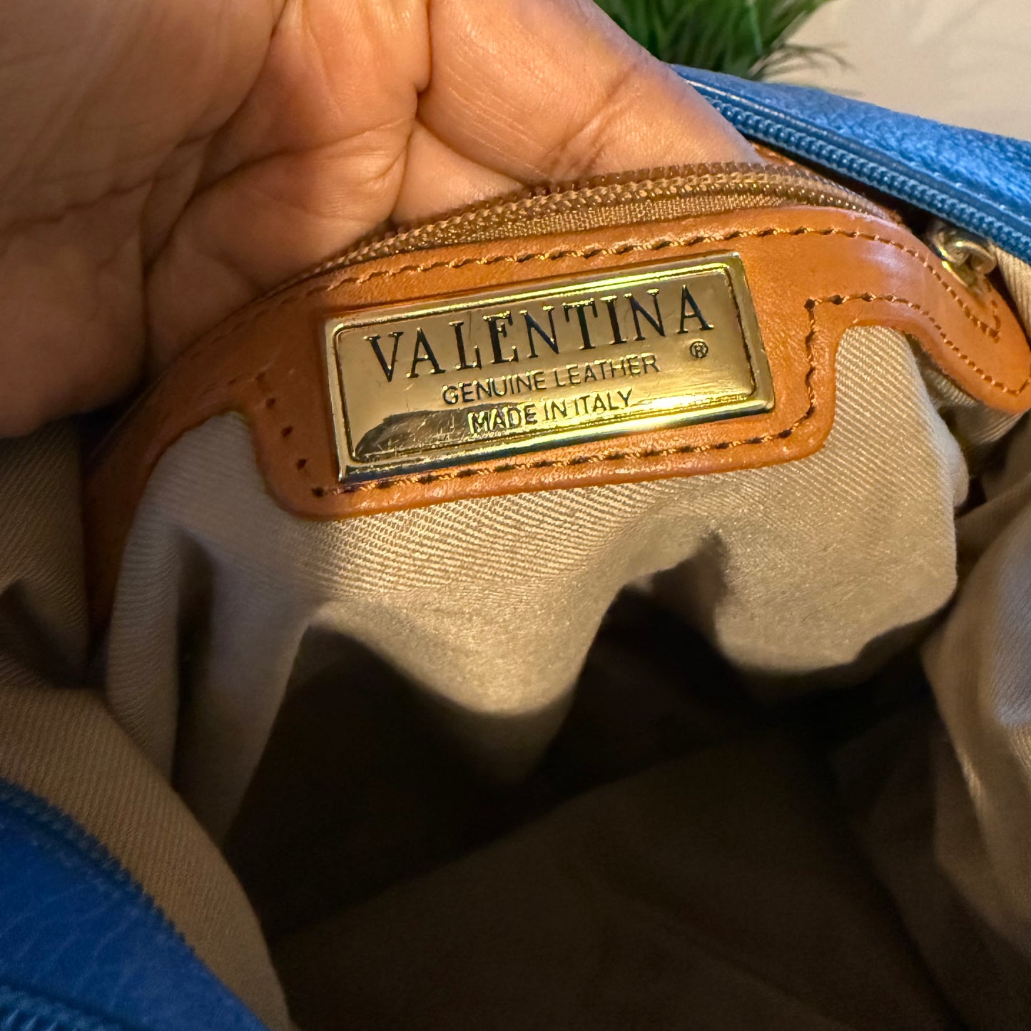 The V Bag
