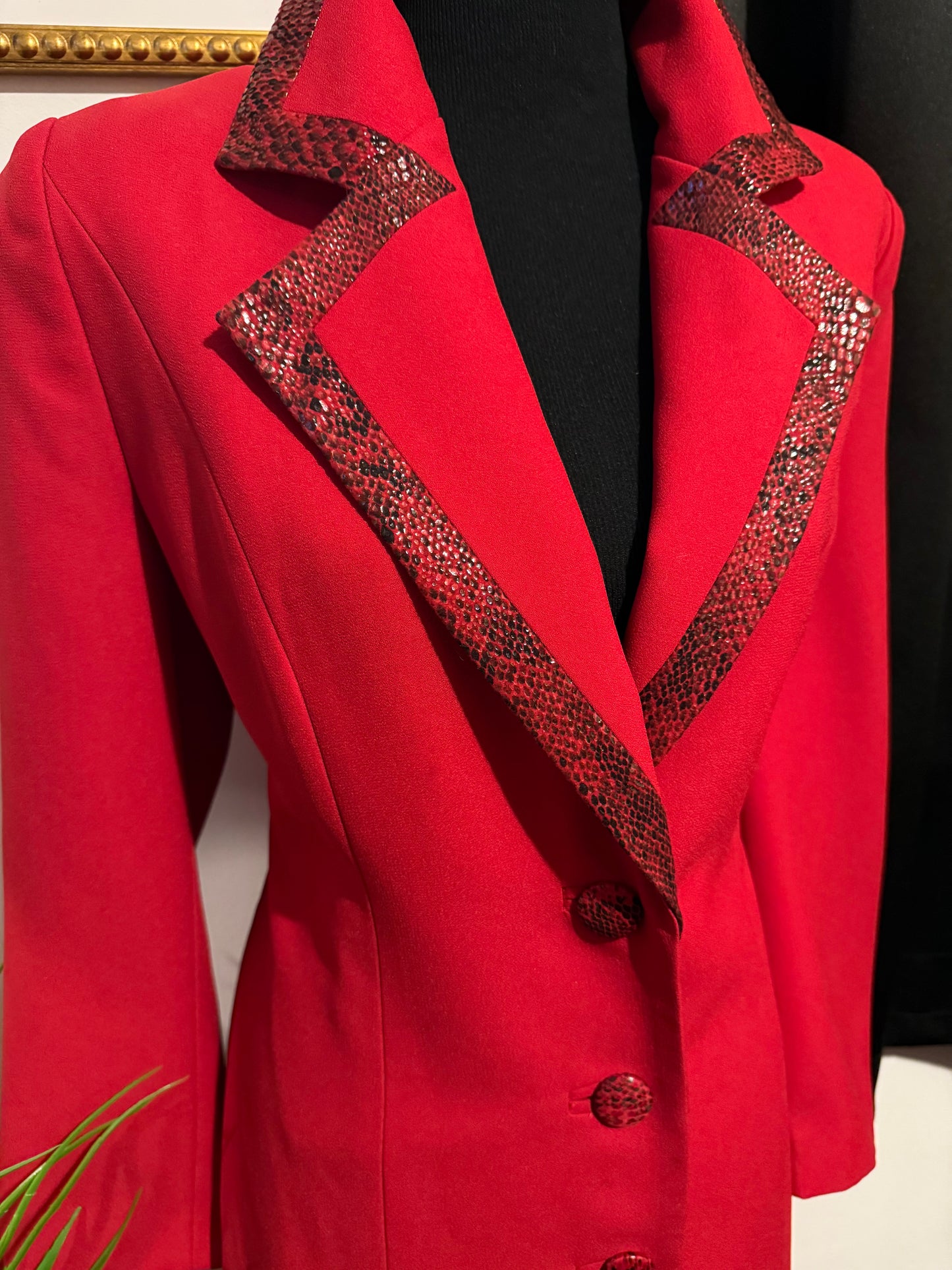Slithering Red Jacket/Dress